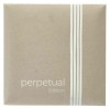 perpetualedition_cello3